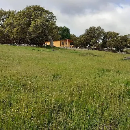 Chalet Eco Nella Natura Con Piscina Privata 