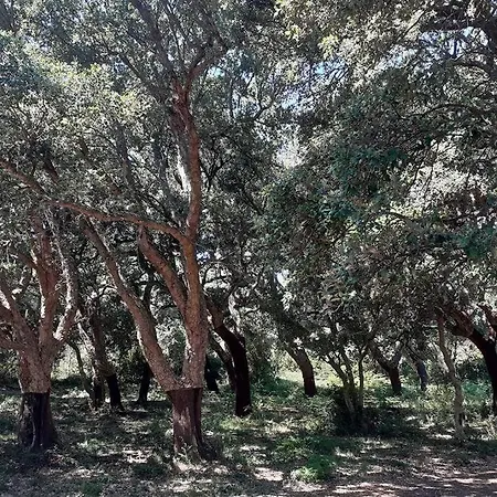 Eco Nella Natura Con Piscina Privata 