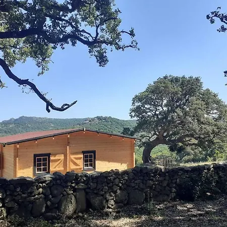 Eco Nella Natura Con Piscina Privata 