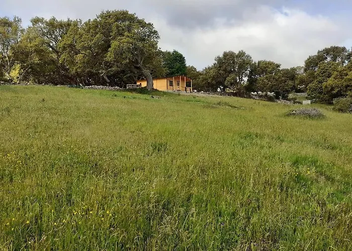 Chalet Eco Nella Natura Con Piscina Privata 