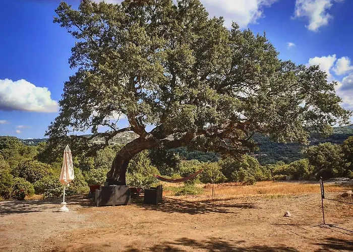 Eco Nella Natura Con Piscina Privata 