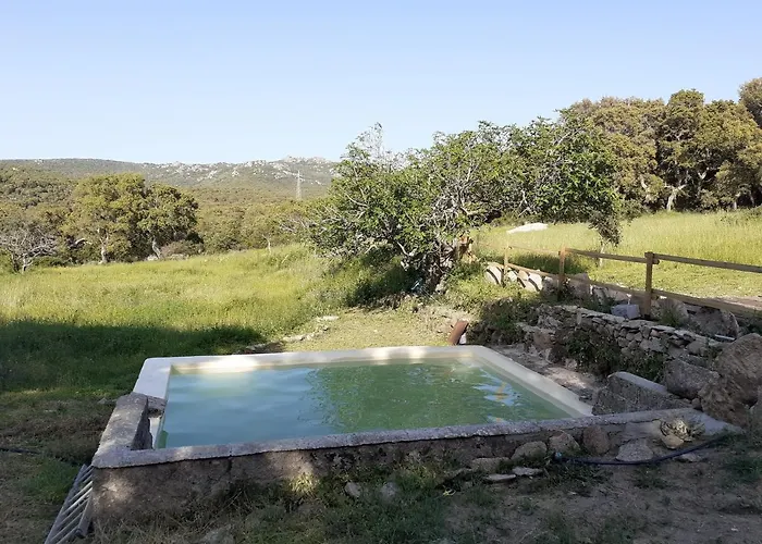 Chalet Eco Nella Natura Con Piscina Privata 