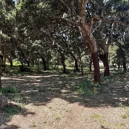 Eco Nella Natura Con Piscina Privata 