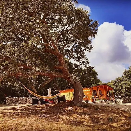 Σαλέ Eco Nella Natura Con Piscina Privata 