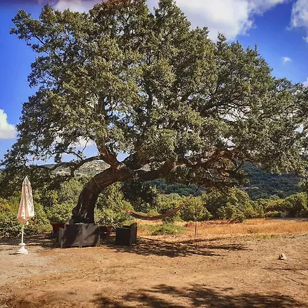 Eco Lodge nella natura Con Piscina privata La Grande Quercia Chalet *