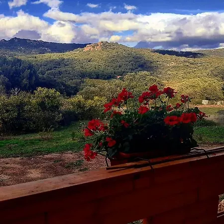 Σαλέ Eco Nella Natura Con Piscina Privata 