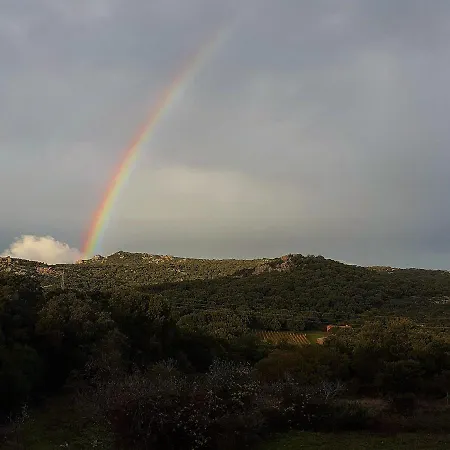 Eco Lodge nella natura Con Piscina privata La Grande Quercia * Calangianus