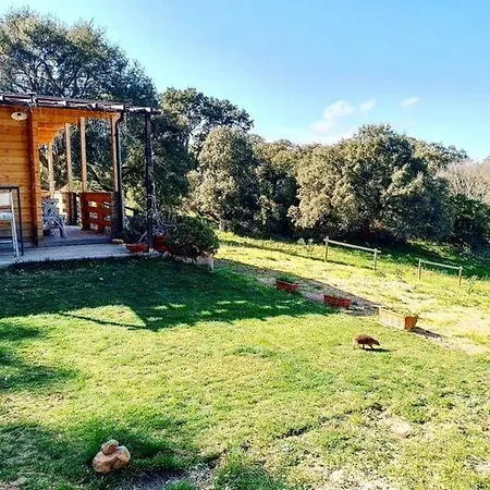 Eco Nella Natura Con Piscina Privata 