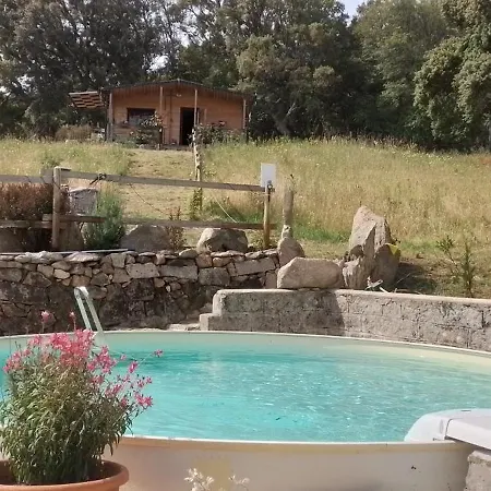 Tiny House Nella Natura Con Piscina Privata 