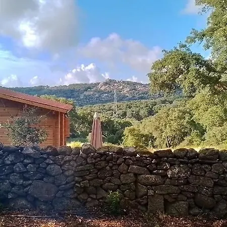 Eco Nella Natura Con Piscina Privata La Grande Quercia Chalet