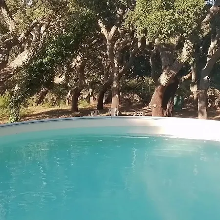 Chalet Eco Nella Natura Con Piscina Privata La Grande Quercia *