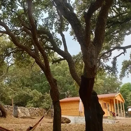 Eco Nella Natura Con Piscina Privata La Grande Quercia * Calangianus