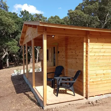 Tiny House Nella Natura Con Piscina Privata 