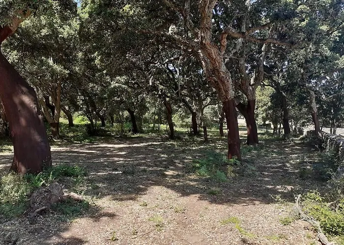 Eco Nella Natura Con Piscina Privata 