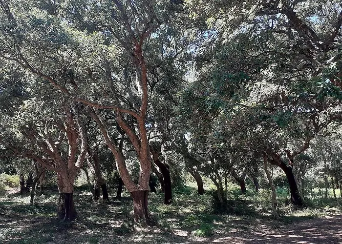 Eco Nella Natura Con Piscina Privata 