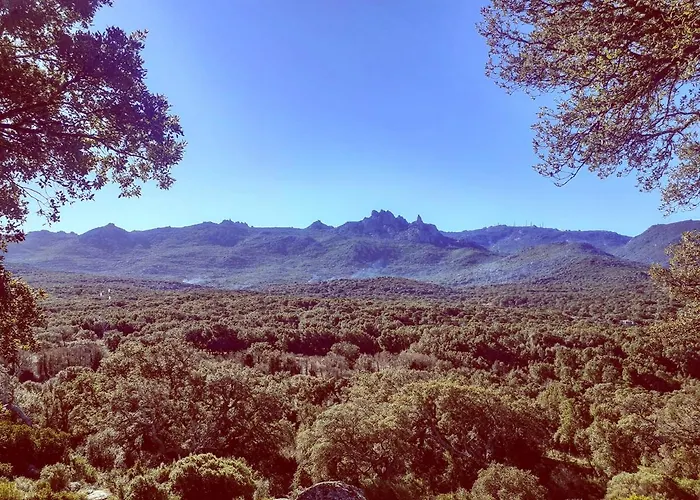 Eco Nella Natura Con Piscina Privata 
